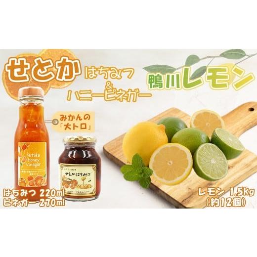 ふるさと納税 みかん・柑橘類 レモン 千葉県 鴨川市 数量・期間限定 せとかフルーツ調味料&鴨川レモンセット(ビネガー・はちみつ各1本・レモン1.5kg) 0…