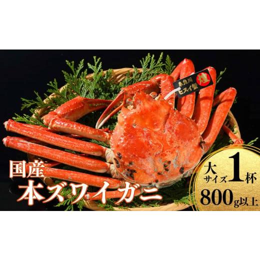 ふるさと納税 カニ ずわいガニ 新潟県 糸魚川市 [期間限定]本ズワイガニ 大サイズ『煌めき』 1杯 800g以上 姿 蒸し蟹 糸魚川産 鮮度が命 蒸したて直送 ずわ…