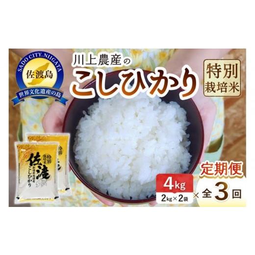 ふるさと納税 米 コシヒカリ 新潟県 佐渡市 令和7年産 佐渡 川上農産のコシヒカリ 定期便(2kg×2×全3回)