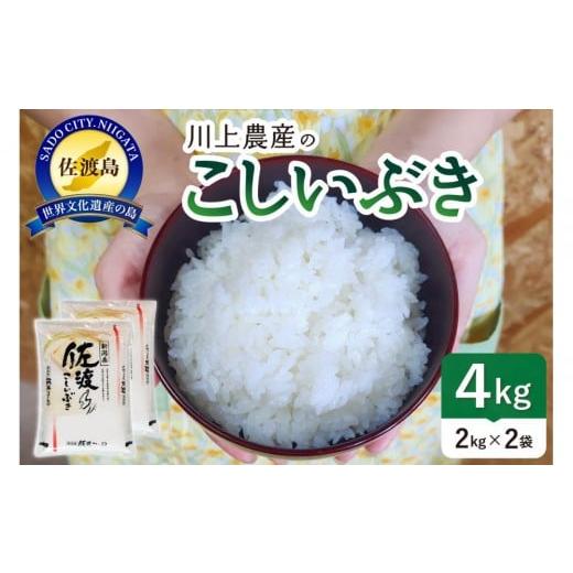 ふるさと納税 米 新潟県 佐渡市 令和7年産 佐渡 川上農産のこしいぶき(2kg×2)