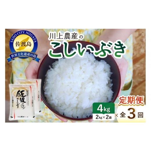 ふるさと納税 米 新潟県 佐渡市 令和7年産 佐渡 川上農産のこしいぶき 定期便(2kg×2×全3回)