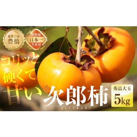 ふるさと納税 果物類 柿 愛知県 豊橋市 先行予約 2026年発送 コリっと硬くて 甘い 豊橋 石巻産 次郎柿 (秀品 大玉)5kg 柿(15〜20玉)10月 11月 2026年産 …