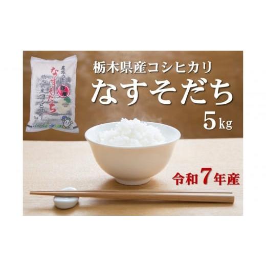 ふるさと納税 米 コシヒカリ 栃木県 大田原市 令和7年産 栃木県産コシヒカリ なすそだち 5kg JAなすの産地直送 大田原市・那須塩原市・那須町共通返礼品
