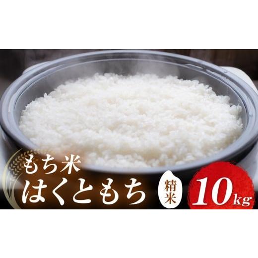 ふるさと納税 米・パン もち米 大分県 中津市 耶馬渓産もち米 10kg | お米 米 精米 おこめ こめ もち米 はくともち 餅 お餅 国産米 10キロ 大分県産 九州産 大…