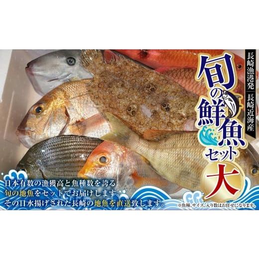 ふるさと納税 旬の鮮魚等 長崎県 長崎市 長崎漁港 発 長崎近海産 旬の鮮魚 セット (大) 2025年9月下旬〜12月下旬迄発送予定 / 魚 さかな 魚介 魚介類 旬 海…