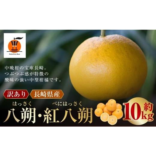 ふるさと納税 みかん・柑橘類 長崎県 長崎市 訳あり 長崎県産 八朔 ・ 紅八朔 約10kg 2026年2月上旬〜3月上旬迄発送予定 / はっさく 紅はっさく 柑橘 柑橘類…