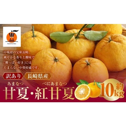 ふるさと納税 みかん・柑橘類 長崎県 長崎市 訳あり 長崎県産 甘夏 ・ 紅甘夏みかん 約10kg 2026年2月上旬〜3月下旬迄発送予定 / あまなつ 紅あまなつ 柑橘 …