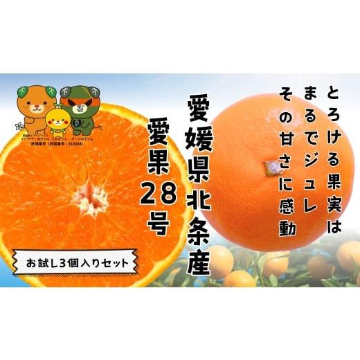 ふるさと納税 果物類 みかん 愛媛県 松山市 先行予約 愛果28号 お試し3個入りセット 愛媛産 愛媛県産 国産 愛媛みかん 愛媛蜜柑 愛媛ミカン みかん ミカン mi…
