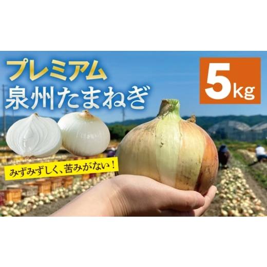 ふるさと納税 野菜類 玉ねぎ 大阪府 泉佐野市 チョイス限定 プレミアム たまねぎ 5kg 泉州 玉ねぎ タマネギ 玉葱 甘い 野菜 国産 オニオン サラダ カレー バ…