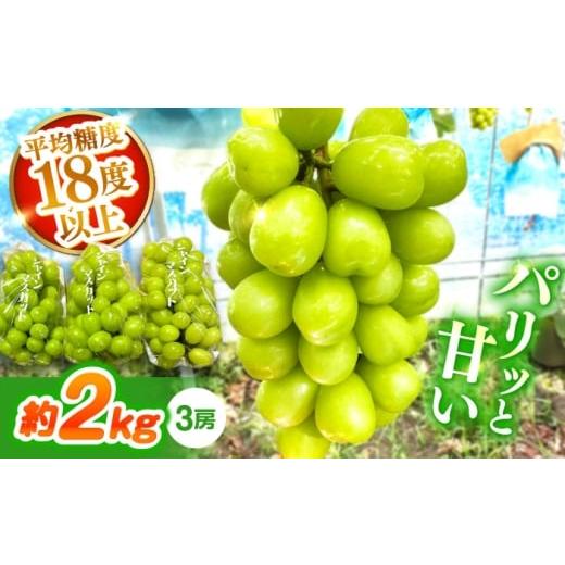 ふるさと納税 ぶどう マスカット 長崎県 南島原市 シャインマスカット 約2kg(3房)/ シャインマスカット しゃいんますかっと ぶどう ブドウ / 南島原市 / …