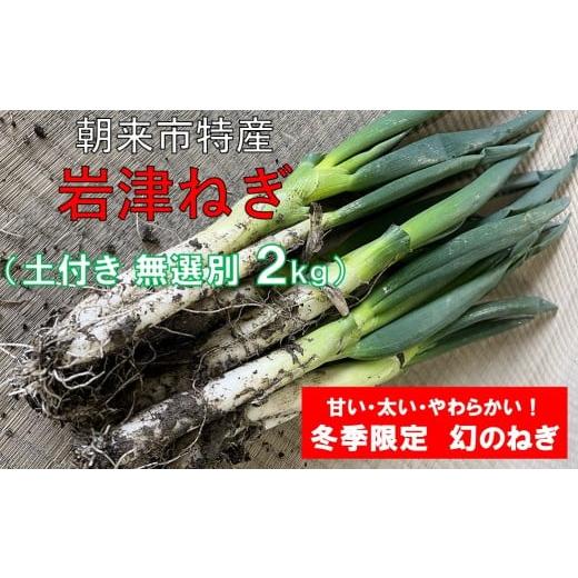 ふるさと納税 野菜類 ねぎ 兵庫県 朝来市 先行予約 朝来市特産 岩津ねぎ 土付き 太さ無選別 2kg(箱入り) AGRI CREW 株式会社 岩津ねぎ 岩津ネギ 日本農業遺…