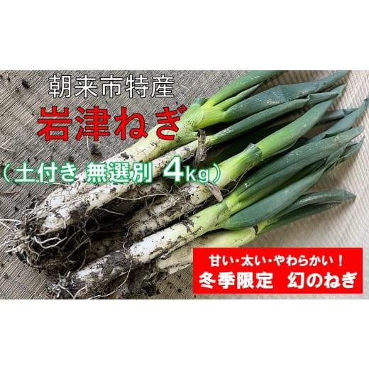 ふるさと納税 野菜類 ねぎ 兵庫県 朝来市 朝来市特産 岩津ねぎ 土付き