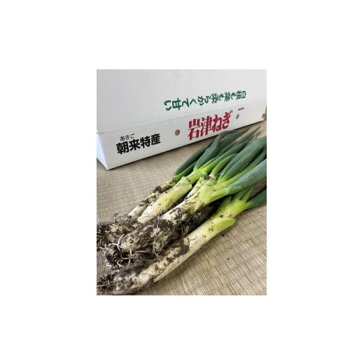 ふるさと納税 野菜類 ねぎ 兵庫県 朝来市 先行予約 朝来市特産 岩津