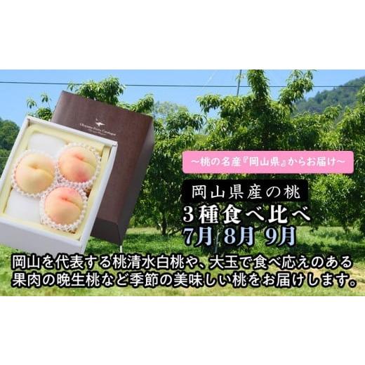 ふるさと納税 もも 岡山県 岡山市 定期便 岡山県産の桃 3種食べ比べ(7月・8月・9月) 2026年度発送