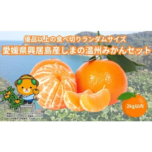 ふるさと納税 果物類 みかん 愛媛県 松山市 先行予約 温州みかん 2kg 興居島産 ランダムサイズ 優品以上 愛媛産 愛媛県産 国産 愛媛みかん 愛媛蜜柑 愛媛ミカ…