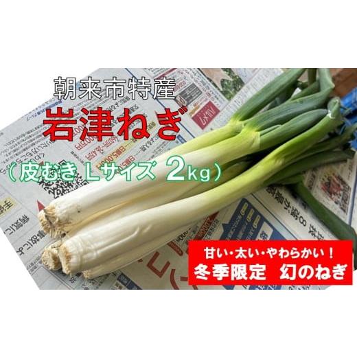 ふるさと納税 野菜類 ねぎ 兵庫県 朝来市 先行予約 朝来市特産 岩津ねぎ 皮むき Lサイズ 2kg(箱入り) AGRI CREW 株式会社 岩津ねぎ 岩津ネギ 日本農業遺産 …