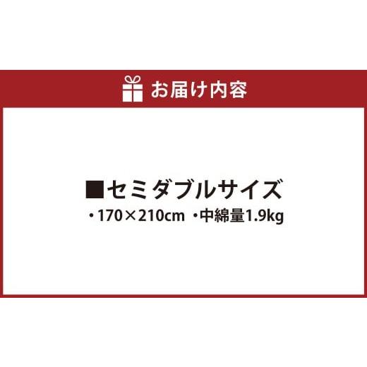 ふるさと納税 タオル・寝具 掛け布団 福岡県 みやま市 S69 お手頃 防ダニ 掛け布団 セミダブルサイズ （170 × 210cm） （中綿量 1.9kg） ／ 布団 フトン ふと…の画像