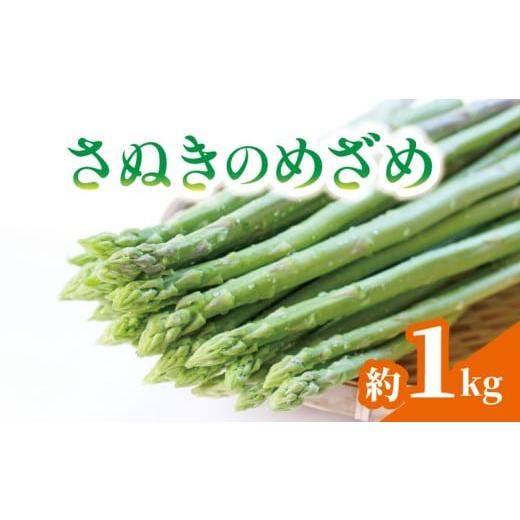 ふるさと納税 山菜・きのこ 香川県 丸亀市 アスパラガス さぬきのめざめ 約1kg アスパラ グリーンアスパラ 野菜 やさい 旬 旬の野菜 季節の野菜 産地直送 冷蔵…