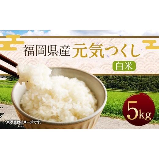 ふるさと納税 米 福岡県 直方市 令和7年産 福岡県産「元気つくし」5kg