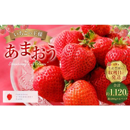 ふるさと納税 いちご 福岡県 太宰府市 3月〜4月発送 いちごの王様 あまおう 約280g×4パック 約1120g 2026年3月上旬〜2026年4月上旬発送予定 いちご イチゴ …