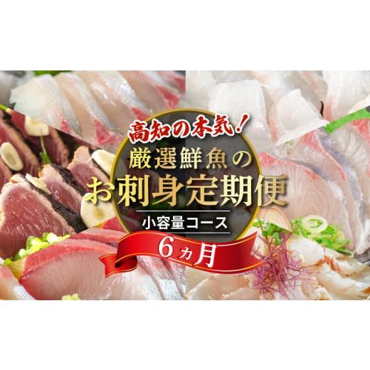 ふるさと納税 寿司 高知県 須崎市 刺身 定期便 6ヶ月 小容量 コース 小島水産 がお届けする 美味しい お刺身 ( 鮮魚 下処理済 ) 産地直送 半年 新鮮 6回 ( ブ…