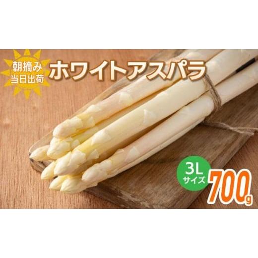 ふるさと納税 野菜類 アスパラガス 福岡県 大木町 数量限定 ホワイトアスパラガス 3L 700g 朝採り 朝採れ 直送 ホワイトアスパラガス アスパラ 2月〜4月お届け…