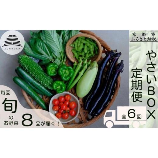 ふるさと納税 セット・詰合せ 京都府 京都市 定期便6回 よしだのはたけ 旬の野菜8品 やさいBOX|京都 京北 農家直送 野菜 人気セット 旬のお野菜 新鮮 おまか…
