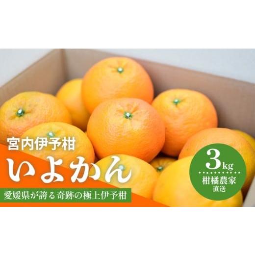 ふるさと納税 みかん・柑橘類 愛媛県 松山市 先行予約 2026年1月中旬から発送予定 いよかん 宮内伊予柑 3kg 2025年度 みかん 3kg みかん 愛媛 みかん 松山 み…