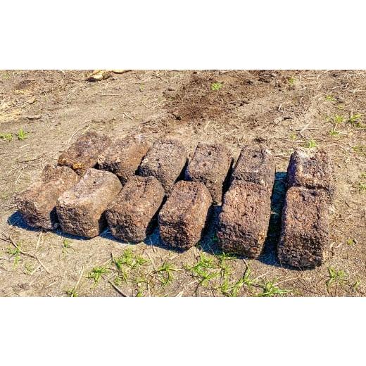 ふるさと納税 雑貨・日用品 鳥取県 日吉津村 家庭菜園やカブトムシ・クワガタムシのマットに。廃菌床12個入り サステナブル 家庭菜園 土壌 再利用 廃菌床