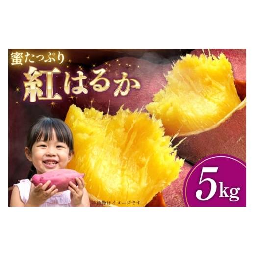 ふるさと納税 野菜類 サツマイモ 兵庫県 三田市 さつまいも 紅はるか 5kg 2025年11月前半〜2026年3月後半配送 SSSファーム 兵庫県 三田市 3d28bed520000 芋 さ…
