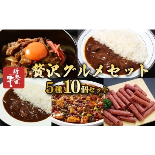 ふるさと納税 加工品等 レトルト 新潟県 新発田市 新発田牛 贅沢グルメセット 5種 各2個セット 牛すじカレー 贅カレー 牛丼の具 麻婆豆腐の素 サラミ 詰め合わ…