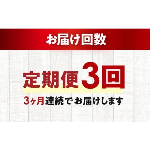 ふるさと納税 菓子 プリン 福井県 小浜市  3回定期便 王道なめらかプリン ／ プリン プリン プリン 小浜市 ／ 志保重 配送不可地域：離島 BFBF017 3回定期便 6…の画像
