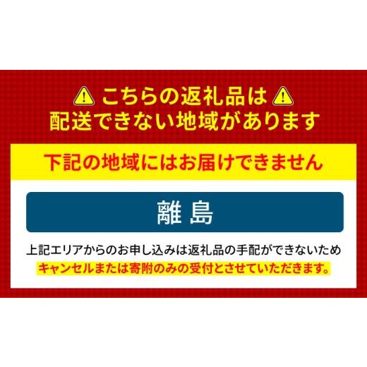 ふるさと納税 菓子 プリン 福井県 小浜市  3回定期便 王道なめらかプリン ／ プリン プリン プリン 小浜市 ／ 志保重 配送不可地域：離島 BFBF017 3回定期便 6…の画像