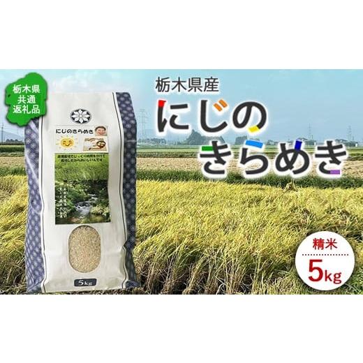 ふるさと納税 米 栃木県 さくら市 令和7年度産 栃木県産にじのきらめき 精米5kg 栃木県共通返礼品|米 コメ 地域おこし協力隊