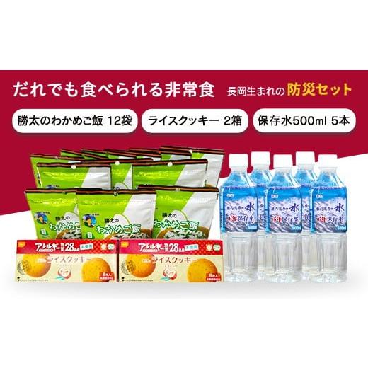 ふるさと納税 防災グッズ 新潟県 長岡市 67-21長岡生まれの「防災セット」