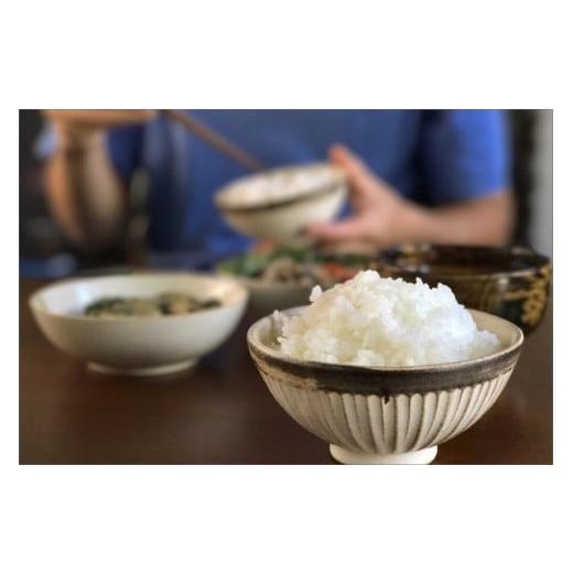 ふるさと納税 米 ササニシキ 京都府 京丹後市 2025年産 京都・弥栄産 ササニシキ 精米4.5kg(栽培期間中農薬不使用)