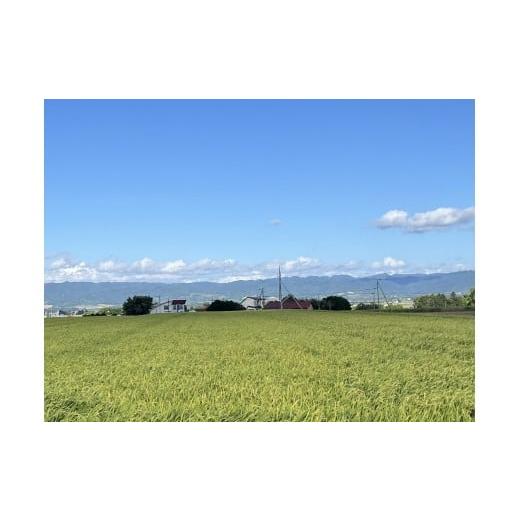 ふるさと納税 玄米 北海道 由仁町 QQ01 令和7年産 ななつぼし 玄米30kg