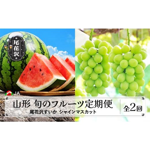 ふるさと納税 ぶどう マスカット 山形県 尾花沢市 先行予約 全2回 フルーツ定期便 尾花沢すいか シャインマスカット 令和8年産 2026年産 山形県産 フルーツ く…