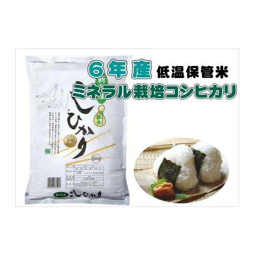 ふるさと納税 米 コシヒカリ 新潟県 阿賀野市 数量限定 令和6年産 ミネラル栽培こしひかり 5kg 白米 精米 井上米穀店 1I25013