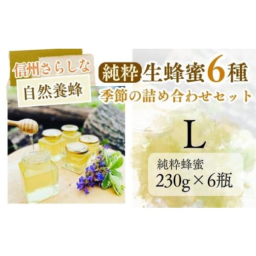 ふるさと納税 加工品等 砂糖 長野県 千曲市 信州さらしな 自然養蜂 純粋生蜂蜜6種 季節の詰め合わせセット L|はちみつ ハチミツ 信州 長野県産 千曲市 Lセッ…