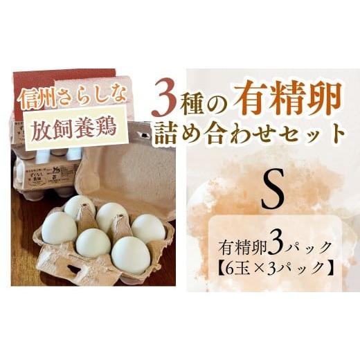 ふるさと納税 卵(鶏、烏骨鶏等) 長野県 千曲市 信州さらしな 放飼養鶏 3種の有精卵 詰め合わせセット S|卵 たまご 名古屋コーチン アローカナ ネラ 信州 長…