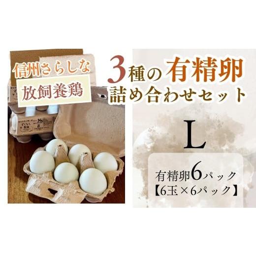 ふるさと納税 卵加工品 長野県 千曲市 信州さらしな 放飼養鶏 3種の有精卵 詰め合わせセット L|卵 たまご 名古屋コーチン アローカナ ネラ 信州 長野県産 千…