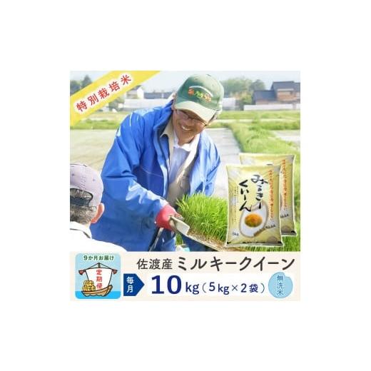 ふるさと納税 米 ミルキークイーン 新潟県 佐渡市 新米予約 9か月定期便 佐渡島産ミルキークイーン 無洗米10Kg(5Kg×2袋) 令和7年 特別栽培米