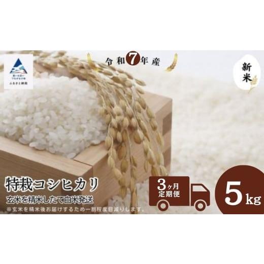 ふるさと納税 米 コシヒカリ 石川県 小松市 3ヶ月定期便 特栽コシヒカリ玄米5kg 精米したて白米発送 3ヶ月定期便