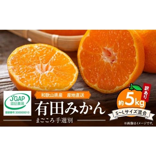 ふるさと納税 果物類 みかん 和歌山県 湯浅町 ZE6423_有田みかん 約5kg 家庭用 (S〜Lサイズ) まごころ手選別