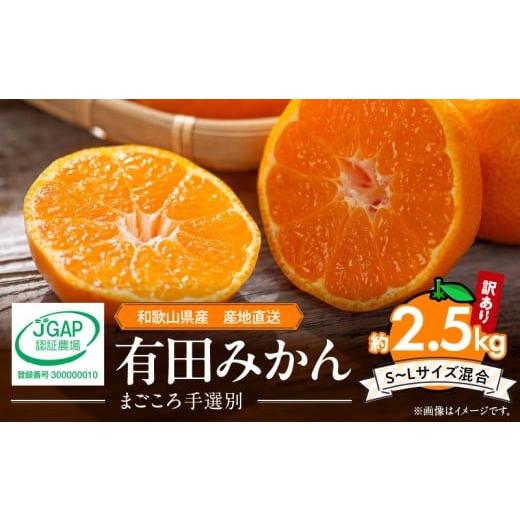ふるさと納税 果物類 みかん 和歌山県 湯浅町 ZE6480_有田みかん 約2.5kg 家庭用 (S〜Lサイズ混合) まごころ手選別