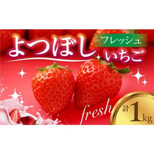ふるさと納税 いちご 愛知県 豊橋市 先行予約 フレッシュ苺 いちご 『よつぼし』 1kg 国産 豊橋産 数量限定
