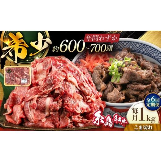 ふるさと納税 牛肉 炒め物 福岡県 糸島市 全6回定期便 希少和牛 糸島和牛 こまぎれ 1kg 糸島市 / トラヤミートセンター 牛肉 黒毛和牛