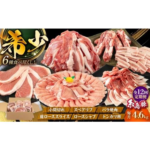 ふるさと納税 豚肉 ロース 福岡県 糸島市 全12回定期便 合計4.6kg 糸島豚食べ尽くしセット(とんかつ、肩ロース、しゃぶしゃぶ、豚バラ、スペアリブ、小間切れ…
