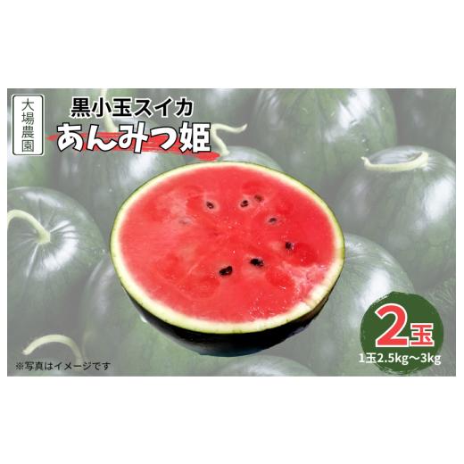 ふるさと納税 スイカ 茨城県 鉾田市 黒小玉スイカ(あんみつ姫) 2玉(2.5kg〜3kg×2玉)